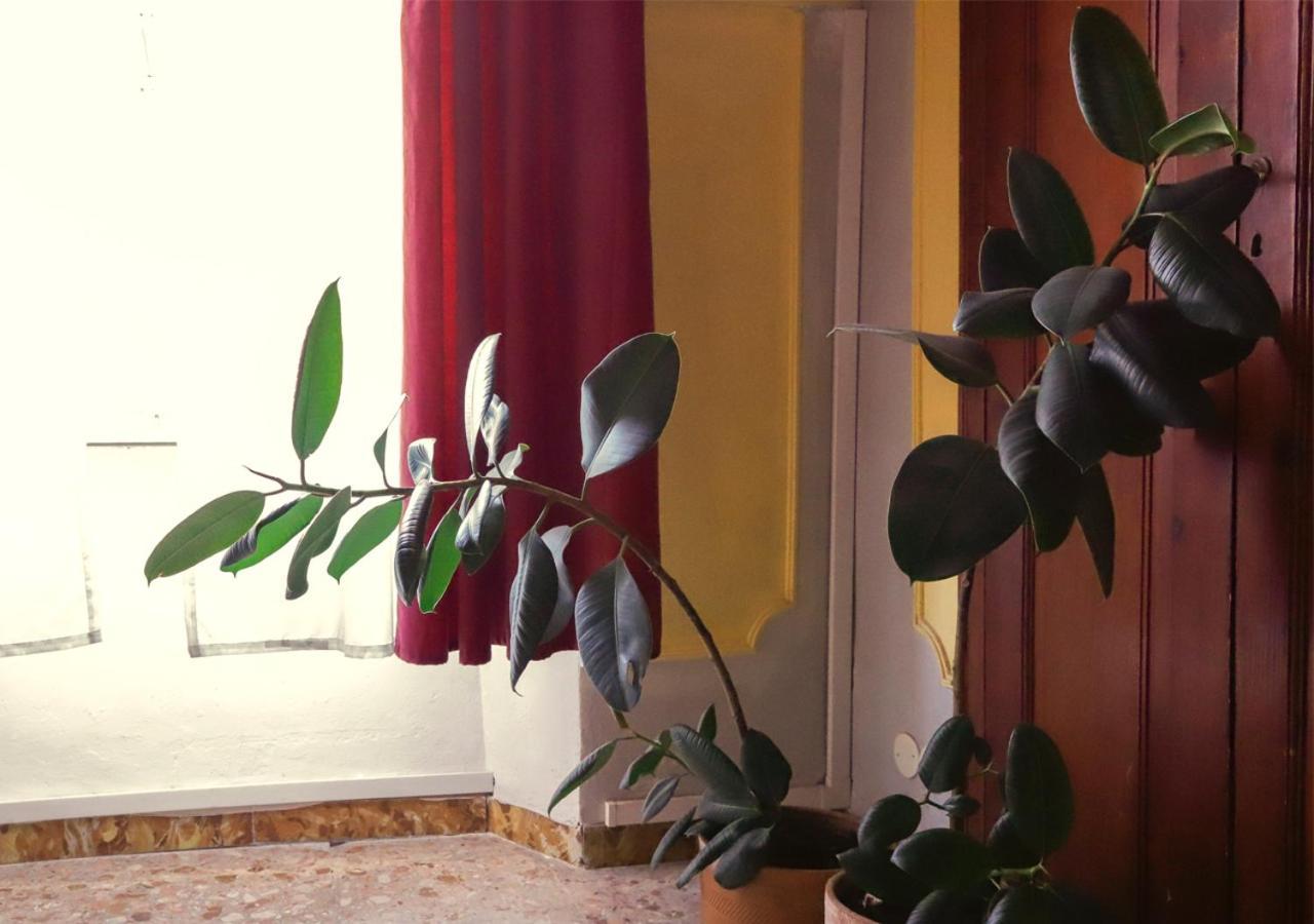 Retro B&B Пиза Экстерьер фото